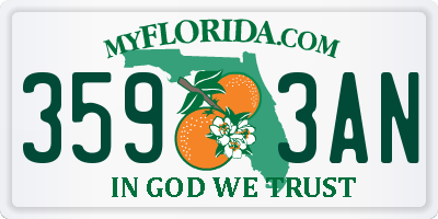 FL license plate 3593AN