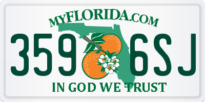 FL license plate 3596SJ