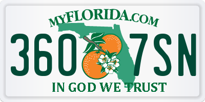 FL license plate 3607SN