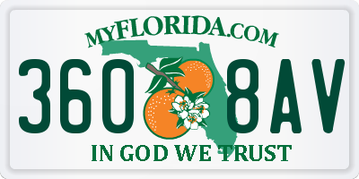 FL license plate 3608AV