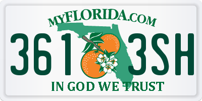 FL license plate 3613SH