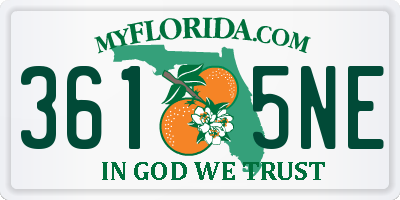FL license plate 3615NE