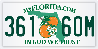 FL license plate 3616OM