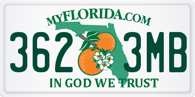FL license plate 3623MB