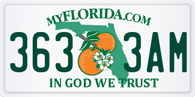 FL license plate 3633AM