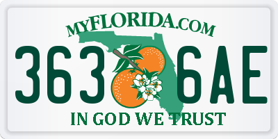 FL license plate 3636AE