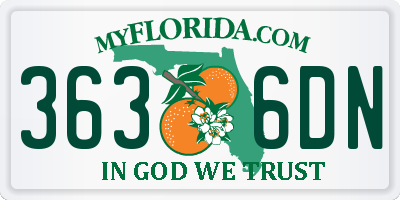 FL license plate 3636DN