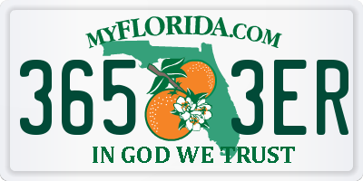 FL license plate 3653ER
