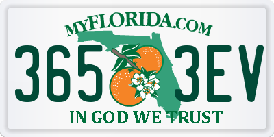 FL license plate 3653EV