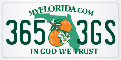 FL license plate 3653GS