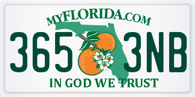 FL license plate 3653NB