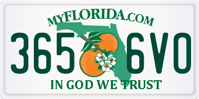 FL license plate 3656VO