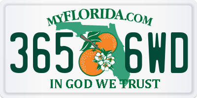 FL license plate 3656WD