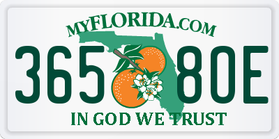 FL license plate 3658OE