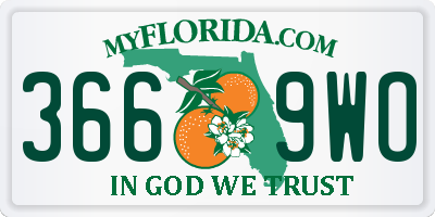 FL license plate 3669WO