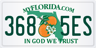 FL license plate 3685ES