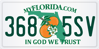 FL license plate 3685SV