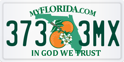 FL license plate 3733MX