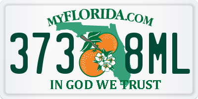 FL license plate 3738ML