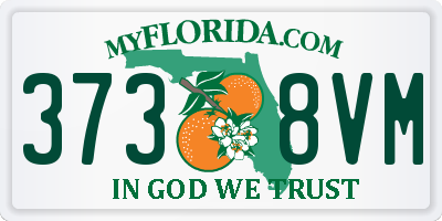 FL license plate 3738VM