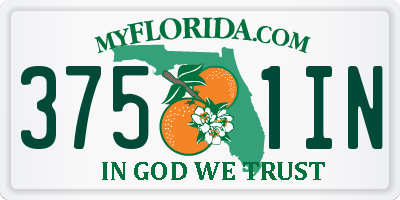 FL license plate 3751IN