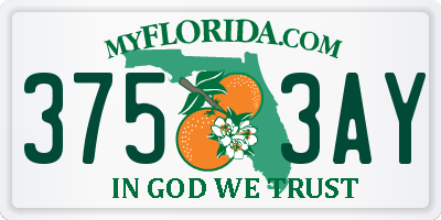 FL license plate 3753AY