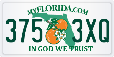 FL license plate 3753XQ