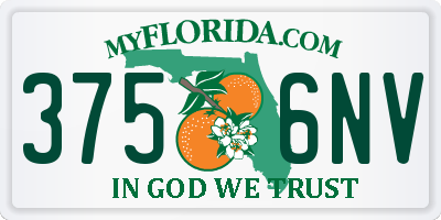 FL license plate 3756NV