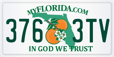 FL license plate 3763TV