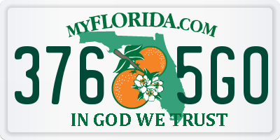 FL license plate 3765GO