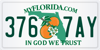 FL license plate 3767AY