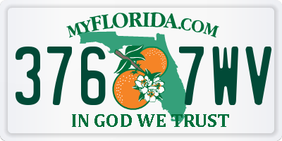 FL license plate 3767WV