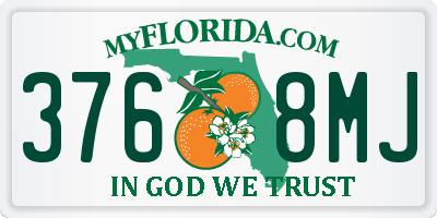 FL license plate 3768MJ