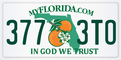 FL license plate 3773TO