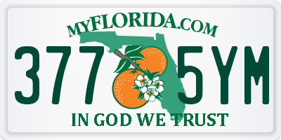 FL license plate 3775YM
