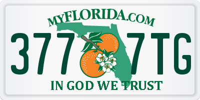 FL license plate 3777TG