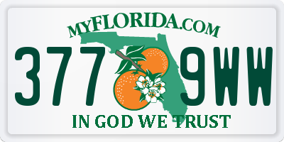 FL license plate 3779WW