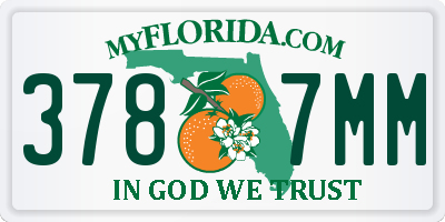 FL license plate 3787MM