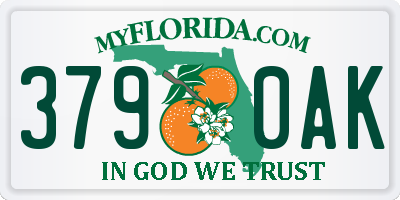 FL license plate 3790AK