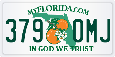 FL license plate 3790MJ
