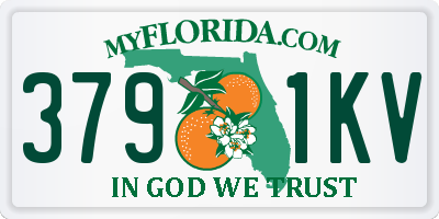FL license plate 3791KV