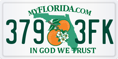 FL license plate 3793FK