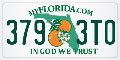 FL license plate 3793TO