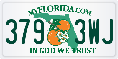FL license plate 3793WJ