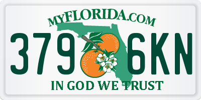 FL license plate 3796KN
