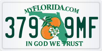 FL license plate 3799MF