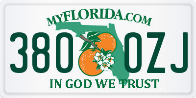 FL license plate 3800ZJ