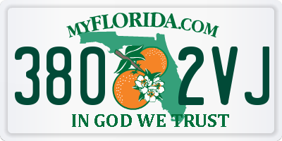 FL license plate 3802VJ