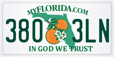 FL license plate 3803LN