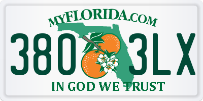 FL license plate 3803LX